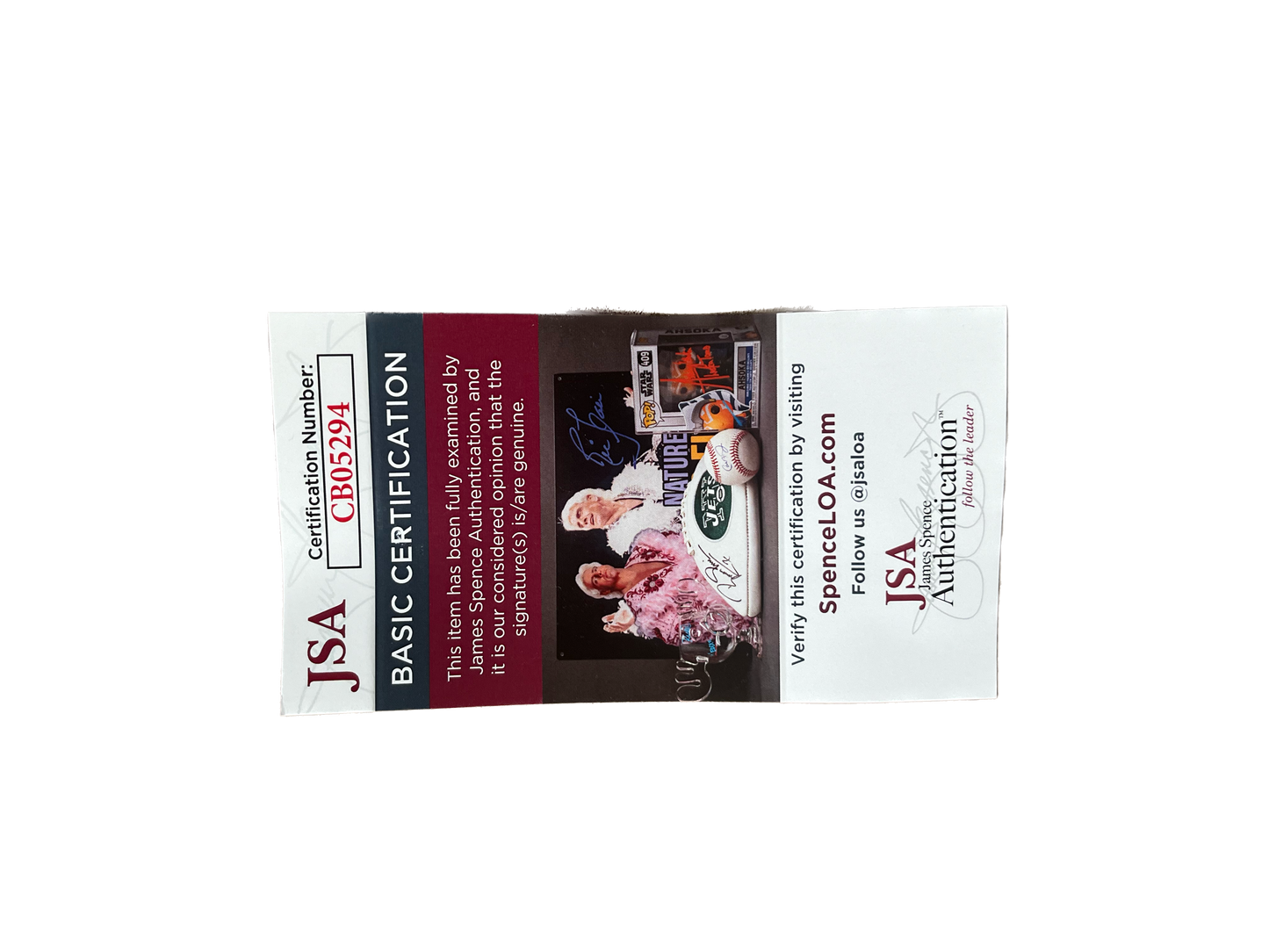 Mike Tyson signed boxing glove.