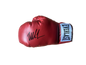 Mike Tyson signed boxing glove.