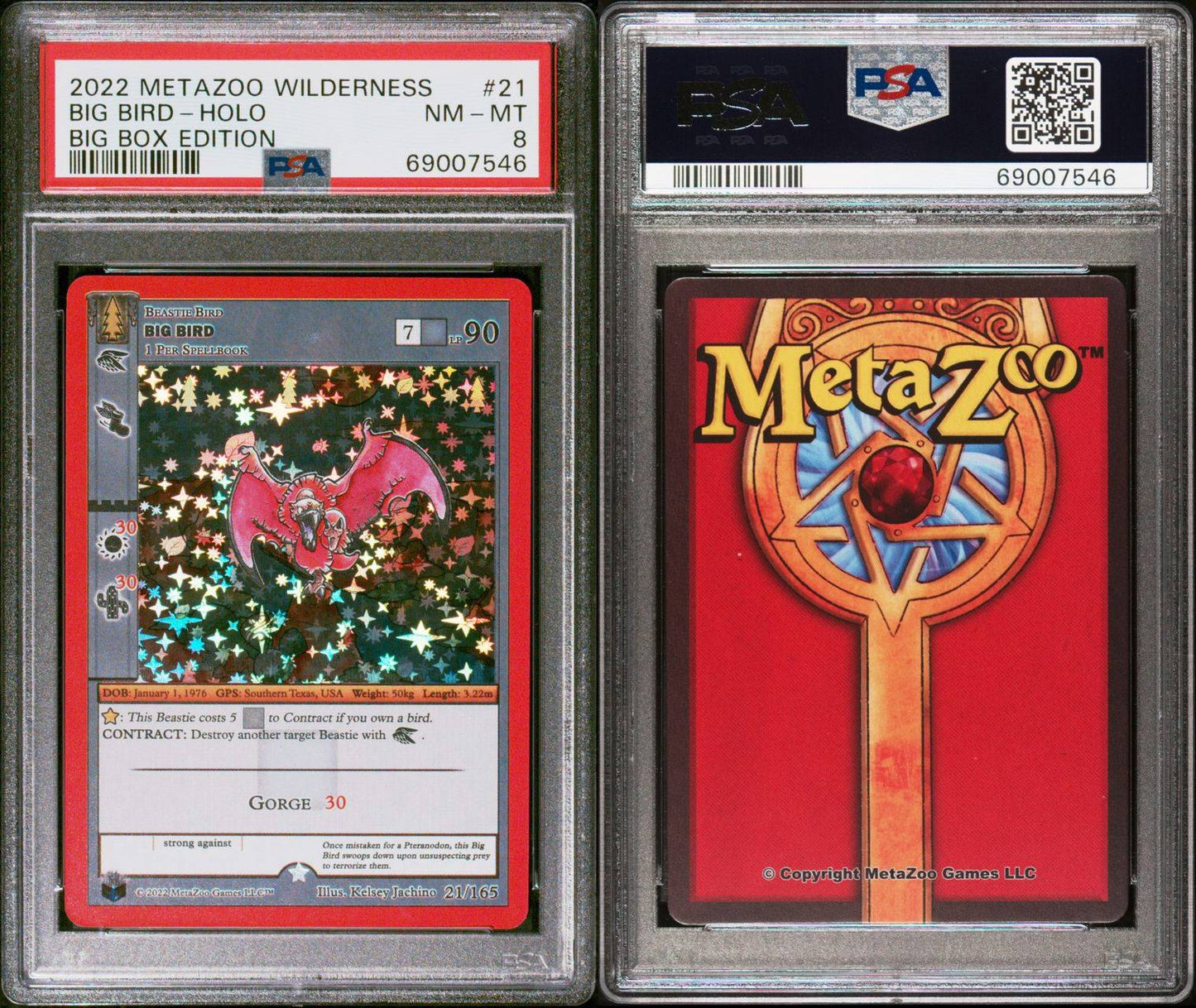 2022 MetaZoo Big Bird HOLO Wilderness PSA 8